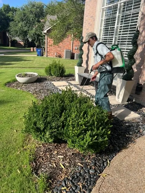 All-Safe Pest & Termite