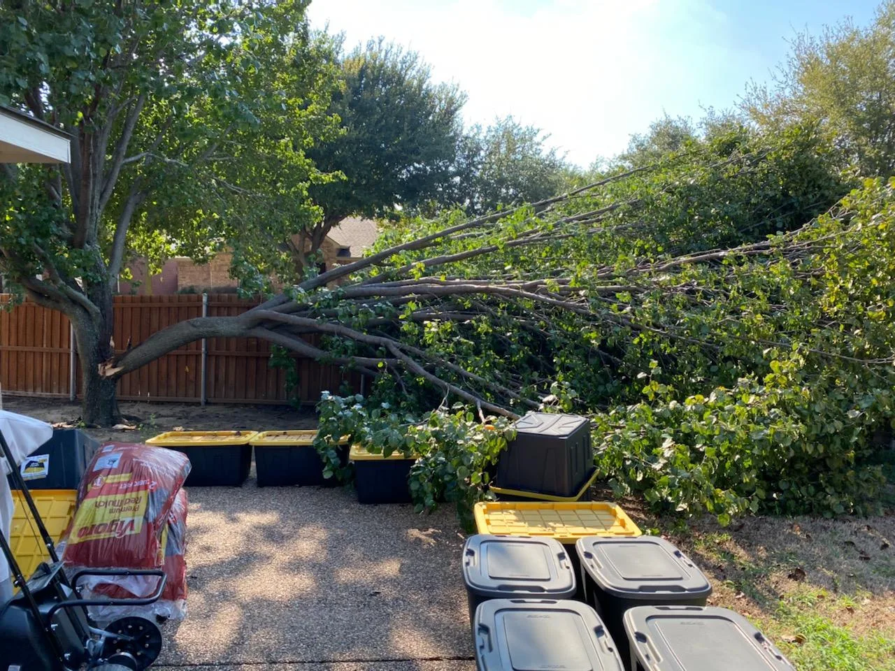 Tree Service Pros