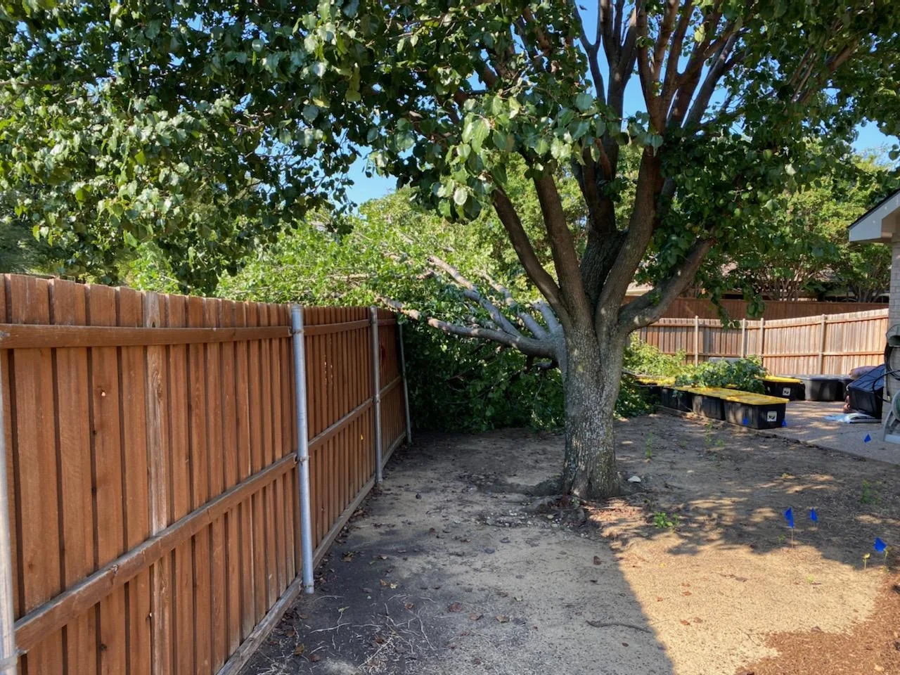 Tree Service Pros