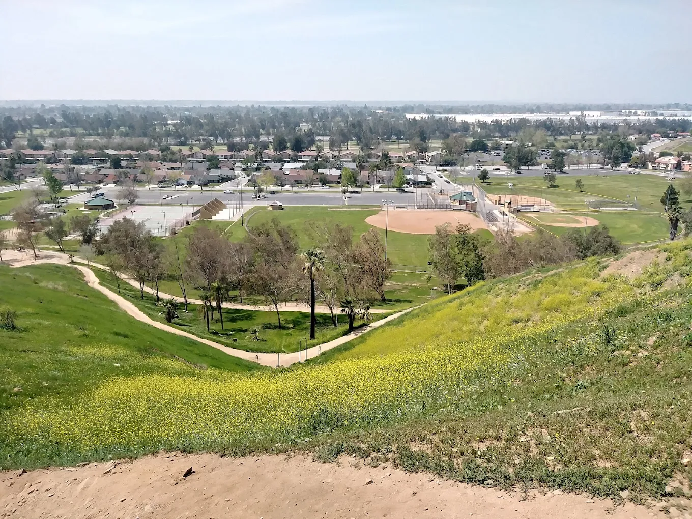 Blair Park