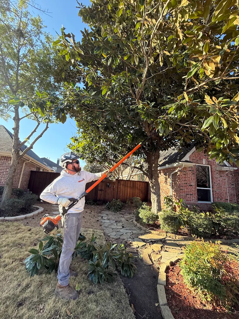 Tree MD's Tree Service LLC