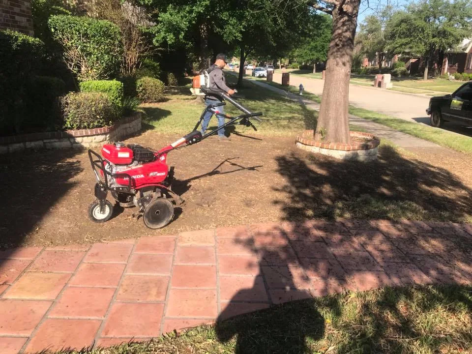 JJ Tree Service