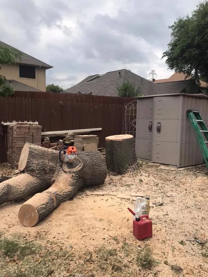 JJ Tree Service