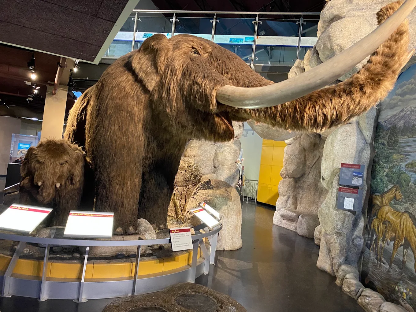 San Bernardino County Museum