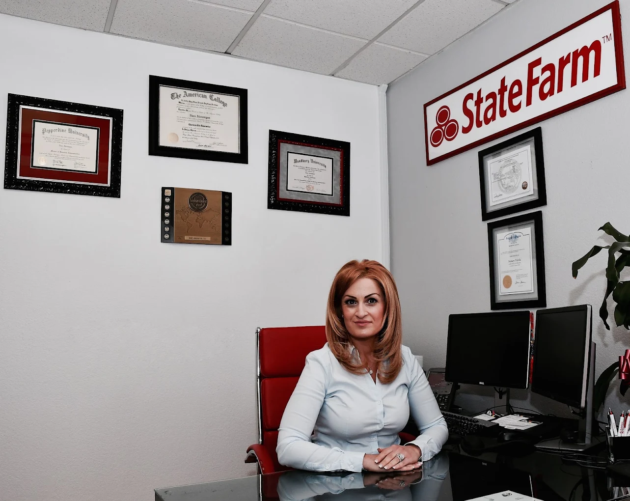 State Farm Insurance Agent : Nari Abramyan