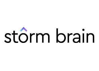 Storm Brain