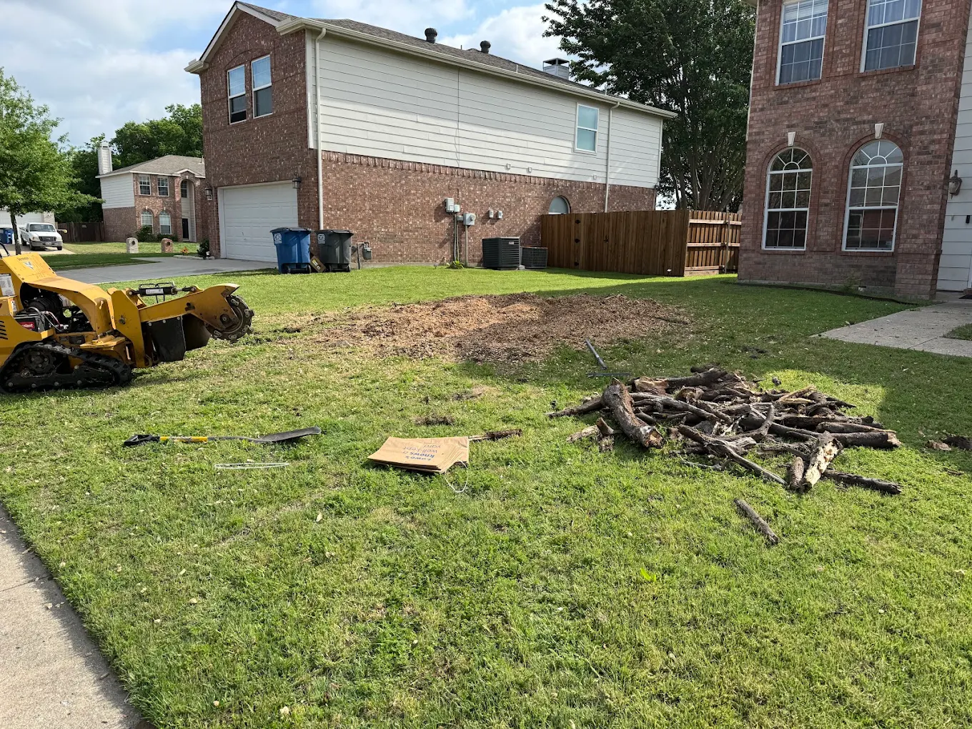 Woodpecker Stump Removal Service