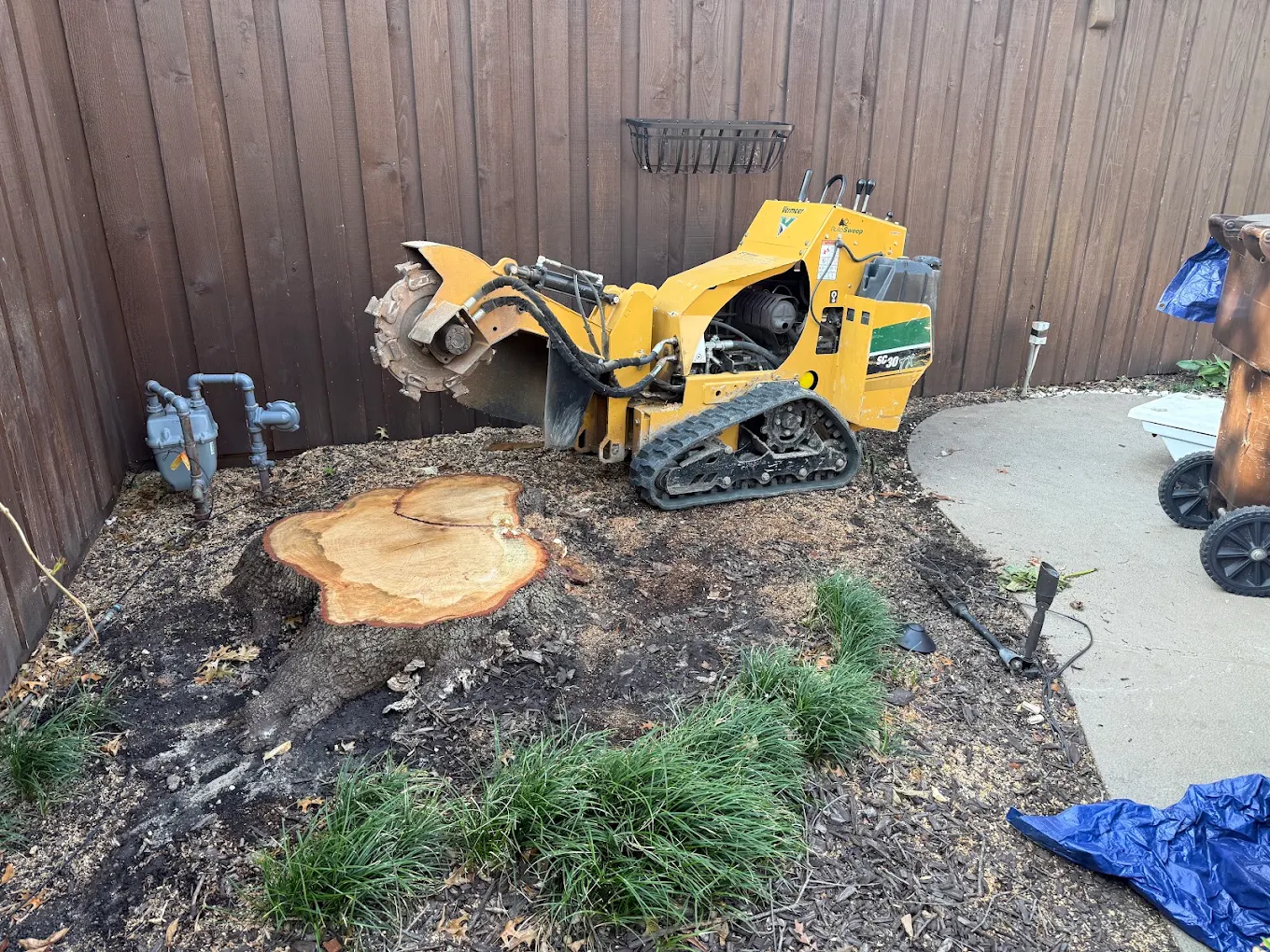 Woodpecker Stump Removal Service