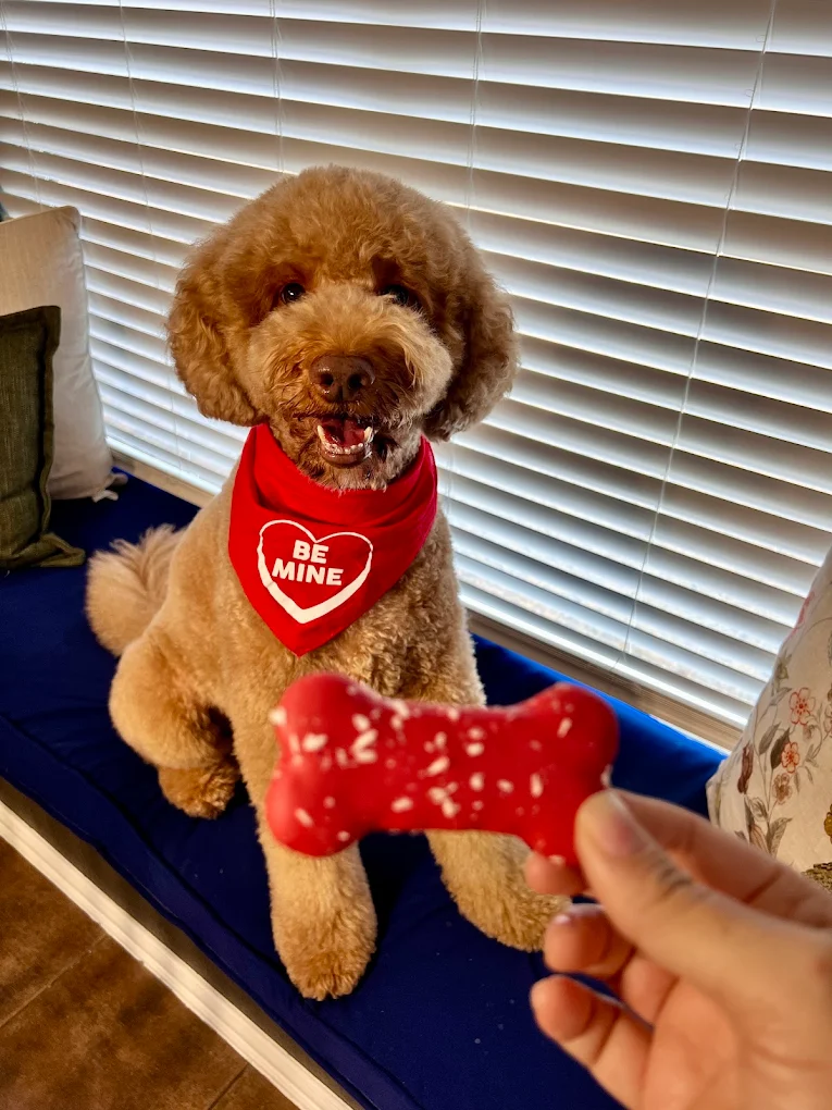Woof Gang Bakery & Grooming