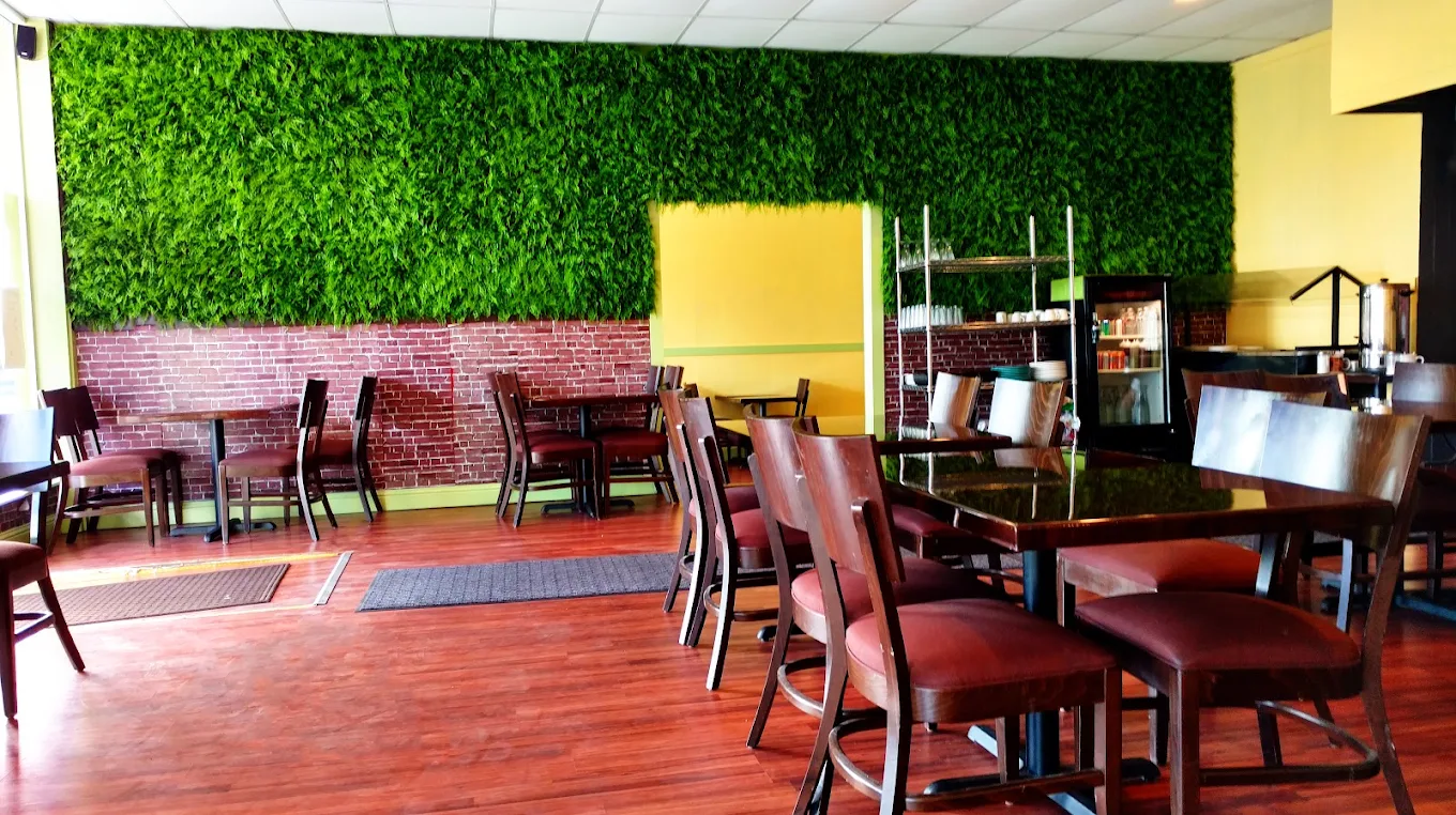 Anarkali Concord