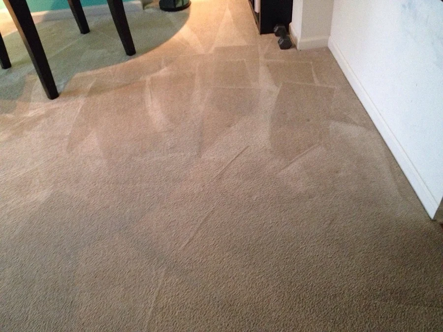 Sunbird Carpet Cleaning