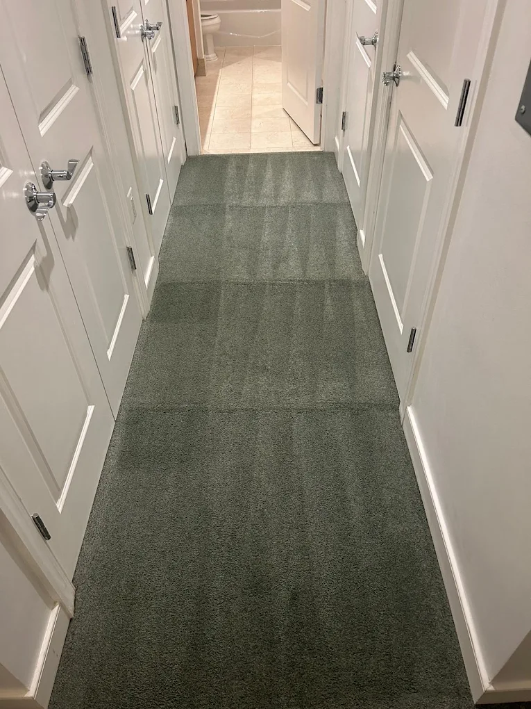 Sunbird Carpet Cleaning