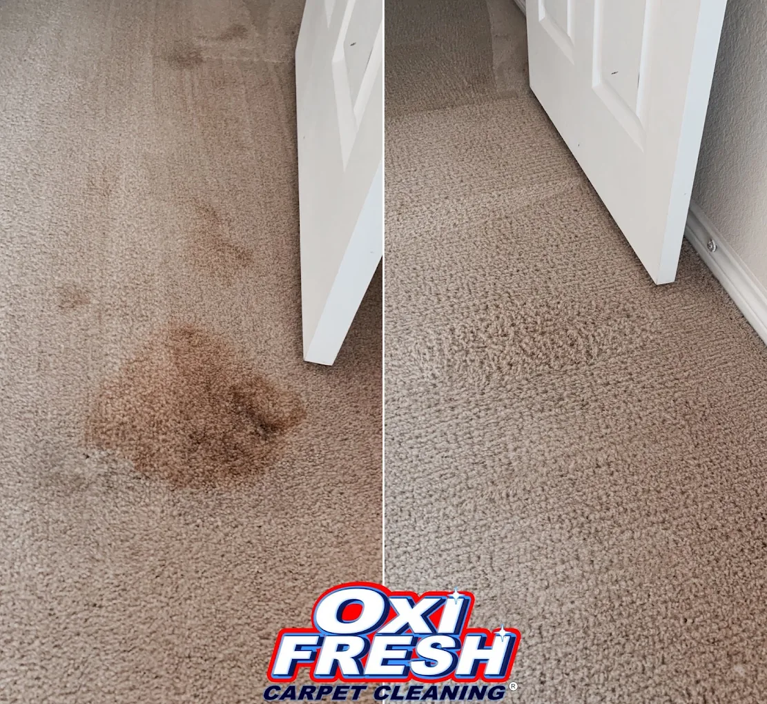 Oxi Fresh Carpet Cleaning