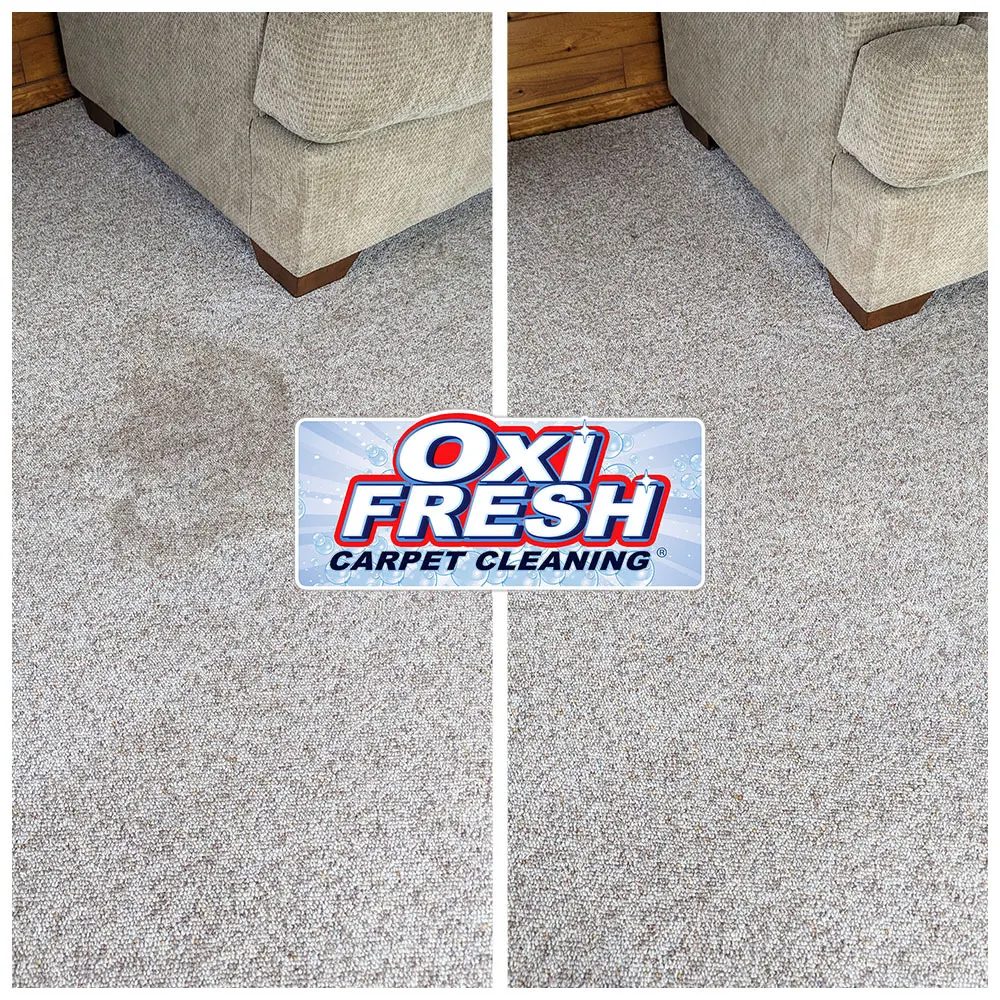 Oxi Fresh Carpet Cleaning