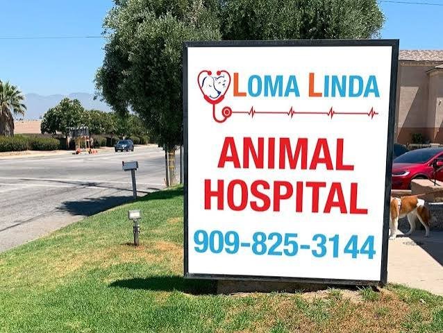 Loma Linda Animal Hospital