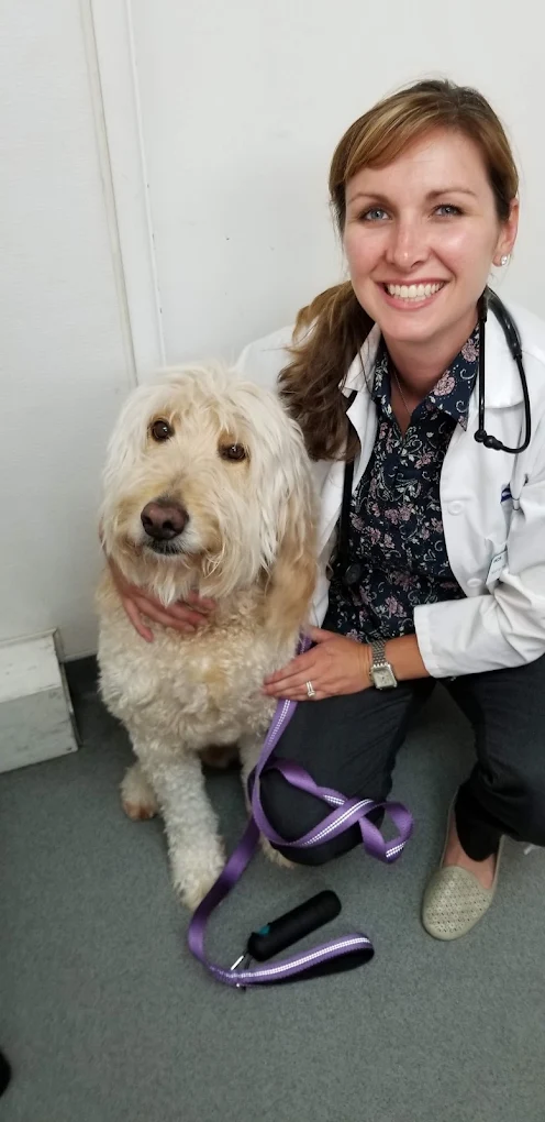 VCA Northside Animal Hospital