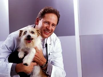 VCA Northside Animal Hospital