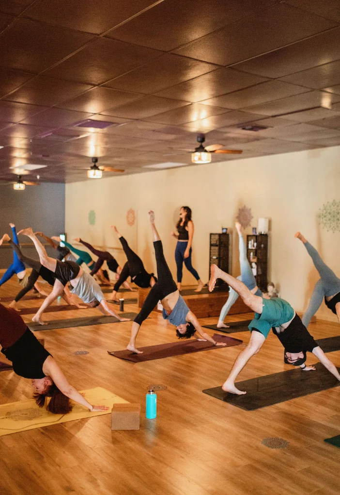 Vasa the Yoga Studio