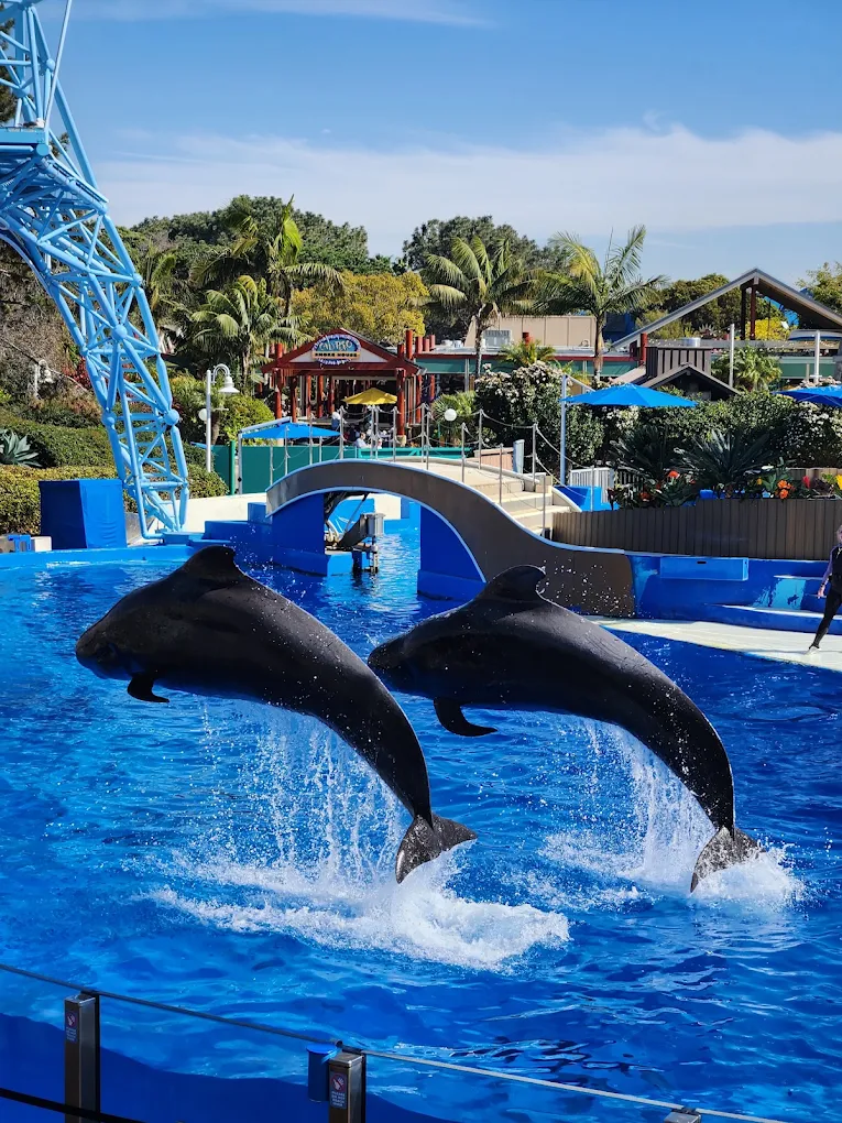 SeaWorld San Diego