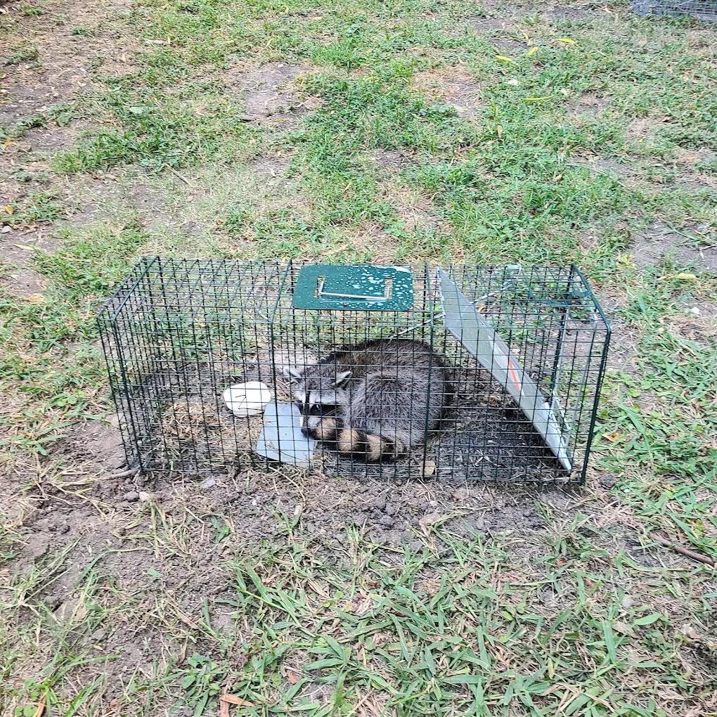Superior Pest Management LLC