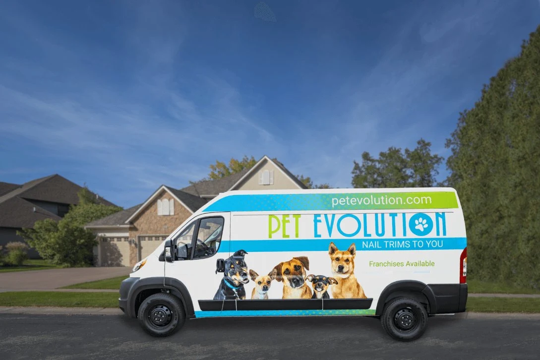 Pet Evolution
