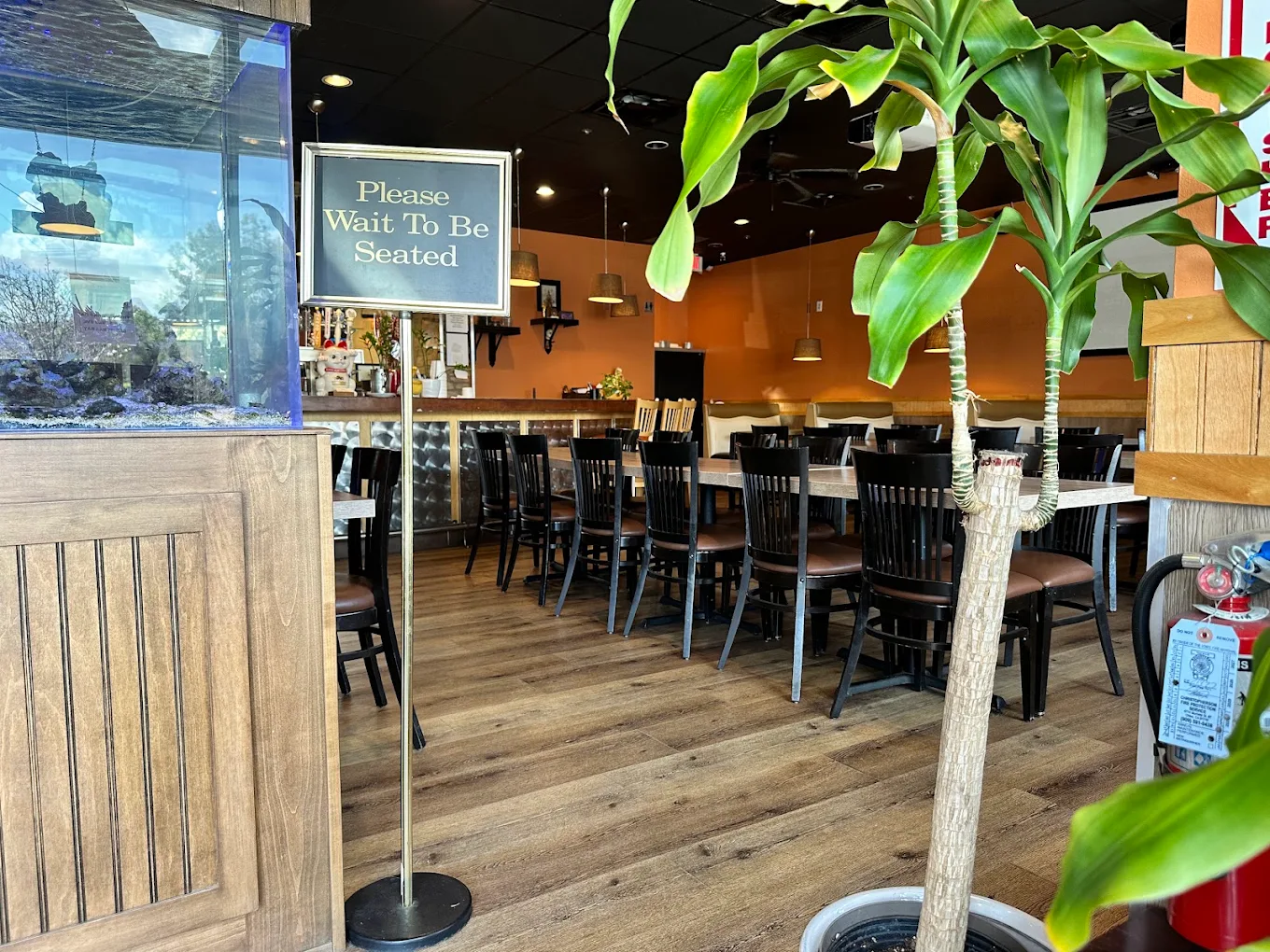 Seven Seas Thai Cuisine