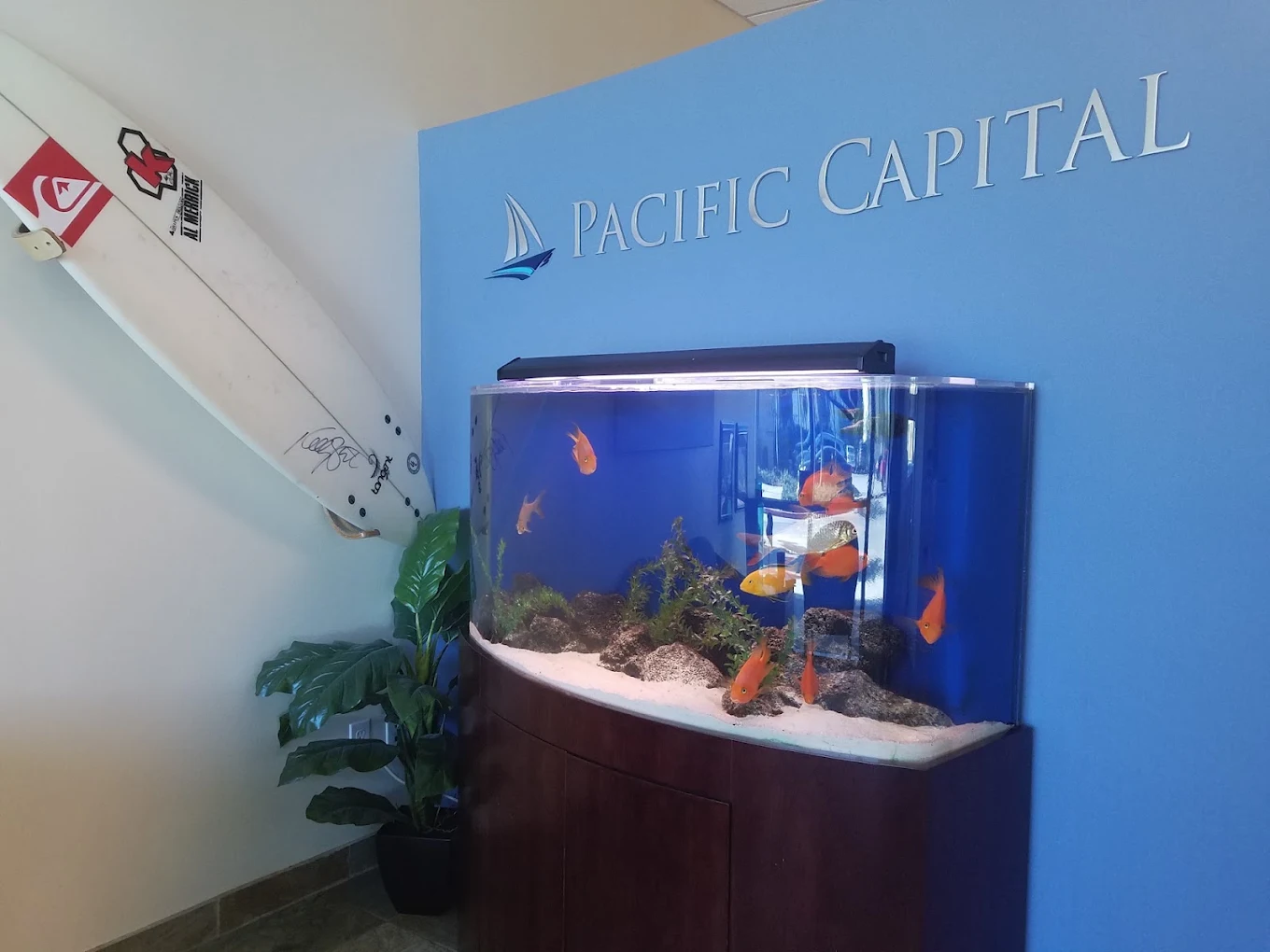 PACIFIC CAPITAL