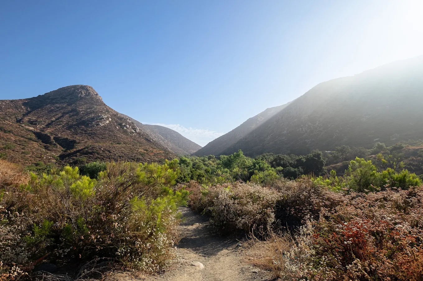 Mission Trails Regional Park