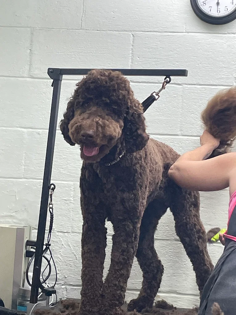 The Grooming House