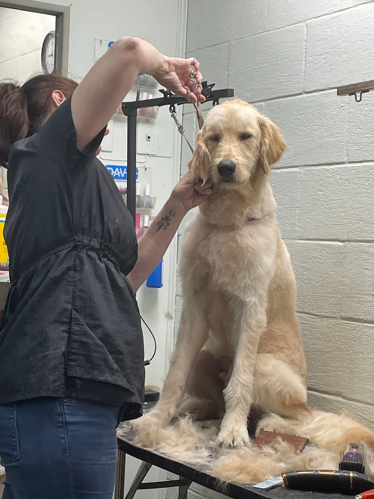 The Grooming House