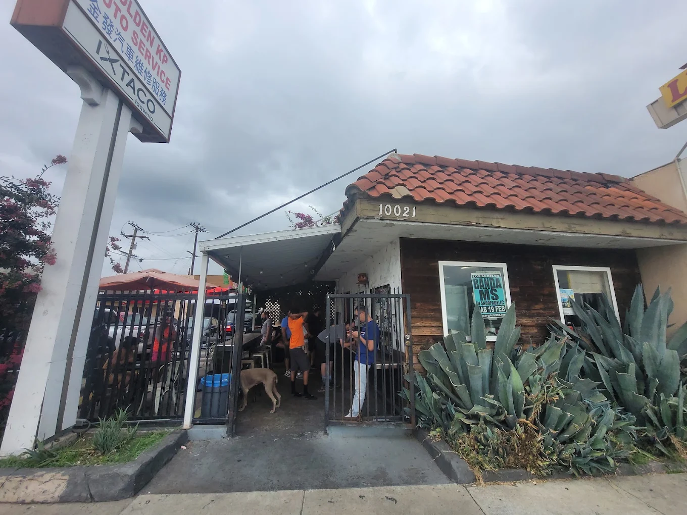 Ixmota Taqueria