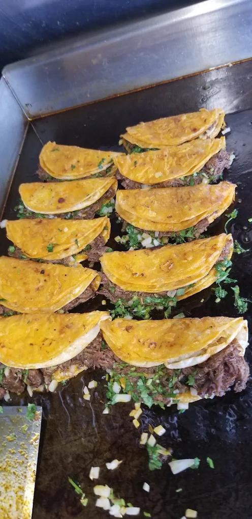 El Indio de Michoacan