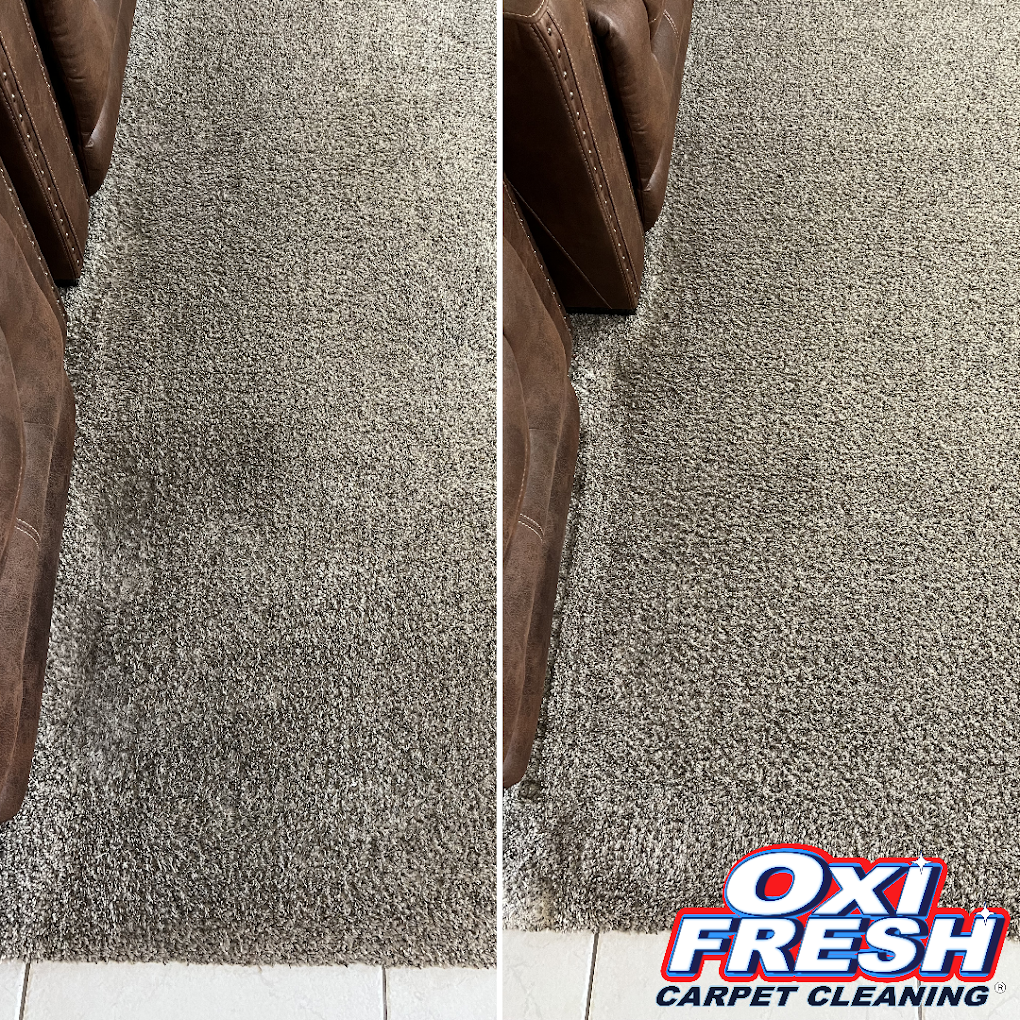 Oxi Fresh Carpet Cleaning