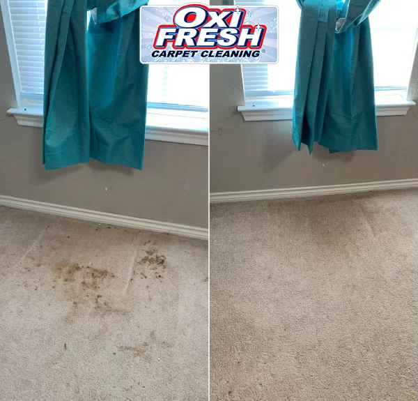 Oxi Fresh Carpet Cleaning