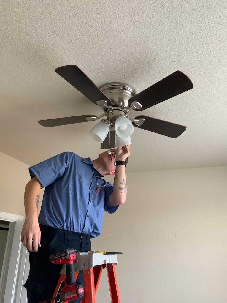 Mr. Electric