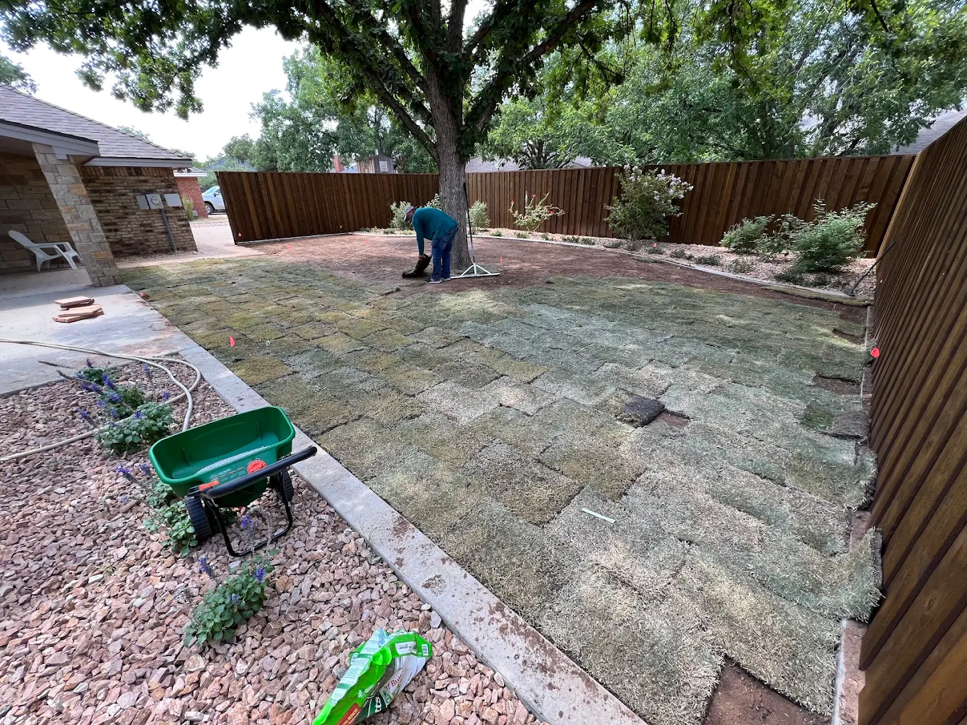 Jo Jo’s Bee Lawn & Tree Service