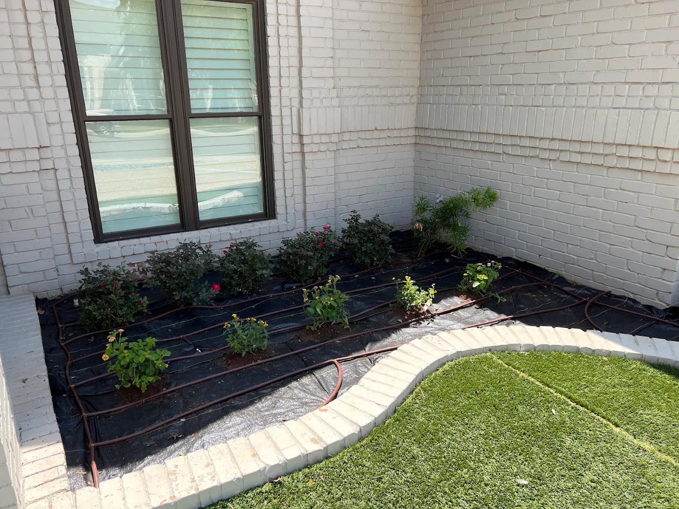 Jo Jo’s Bee Lawn & Tree Service