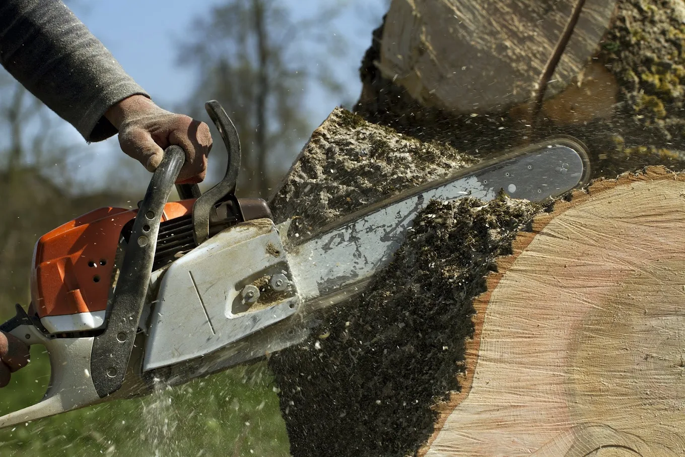 Midland Tree Service