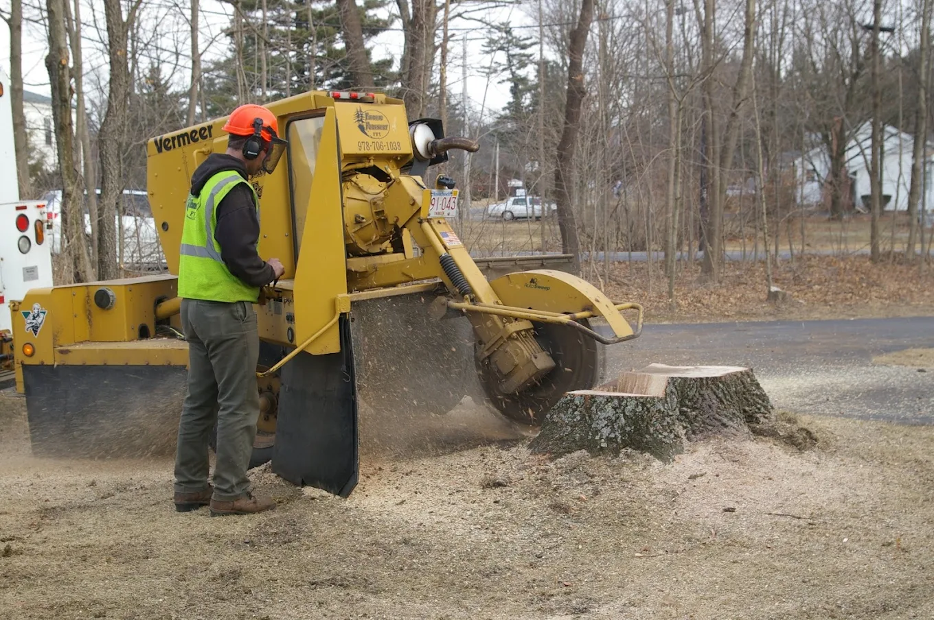 Midland Tree Service