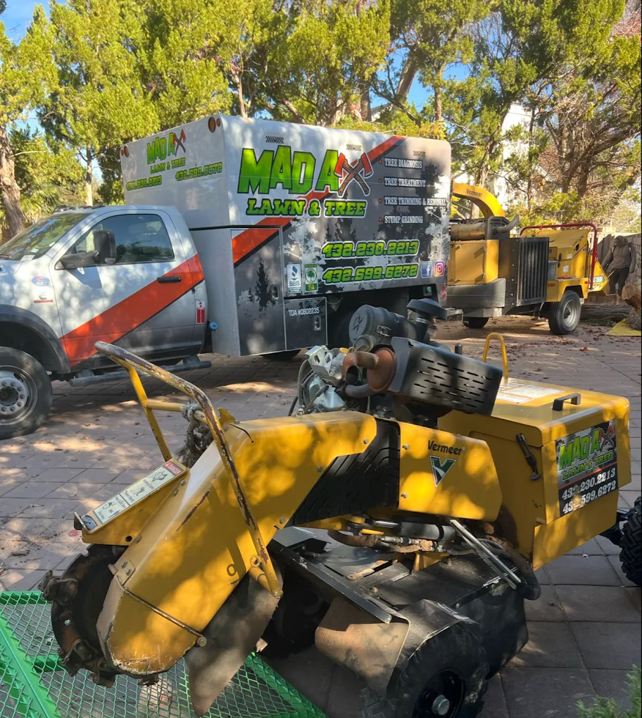 Mad Ax Lawn & Tree llc