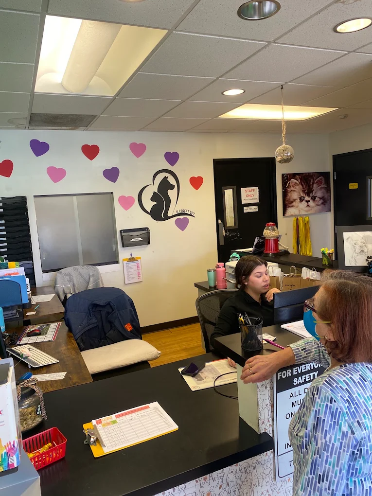 B Street Veterinary Hospital