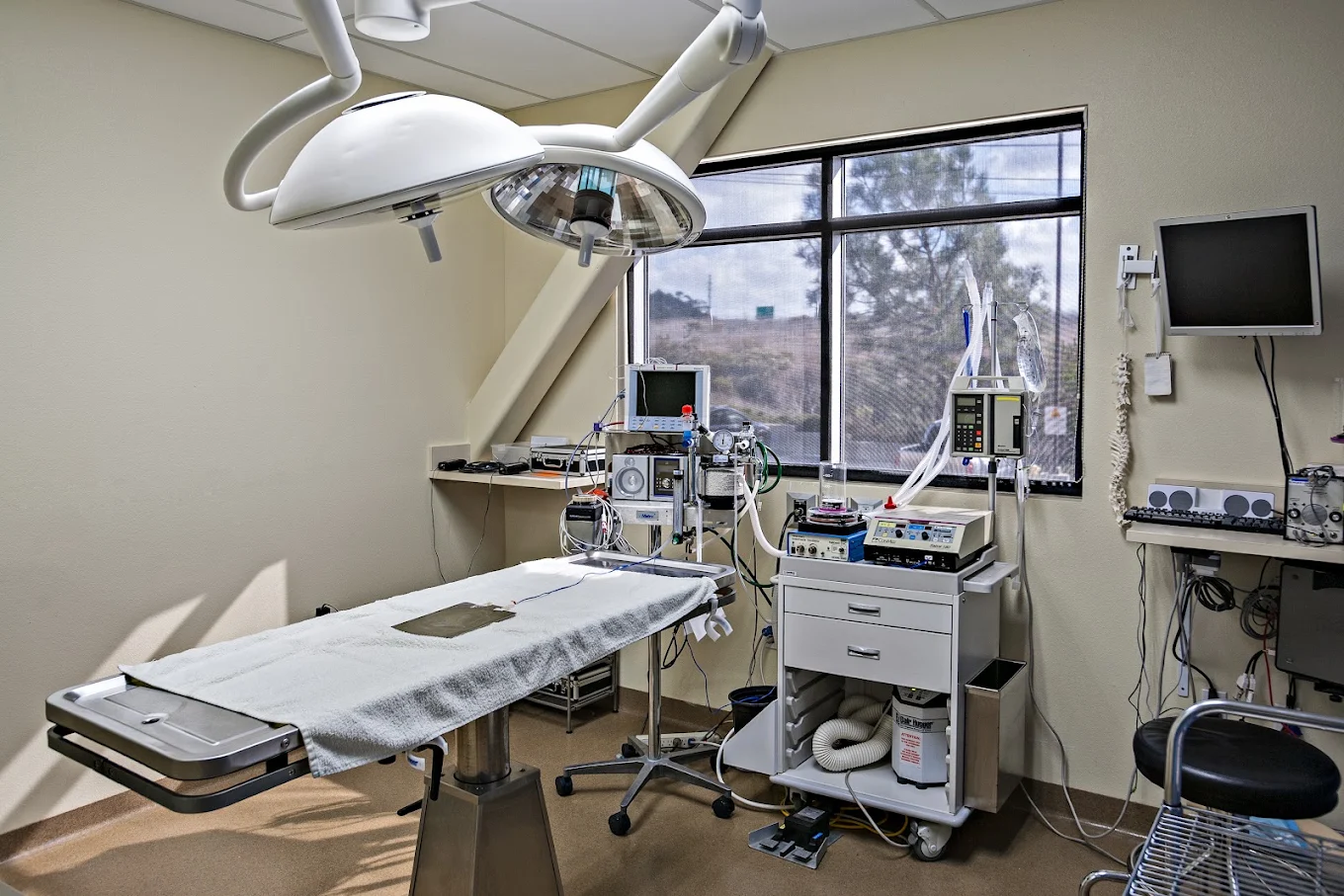 Veterinary Specialty Hospital