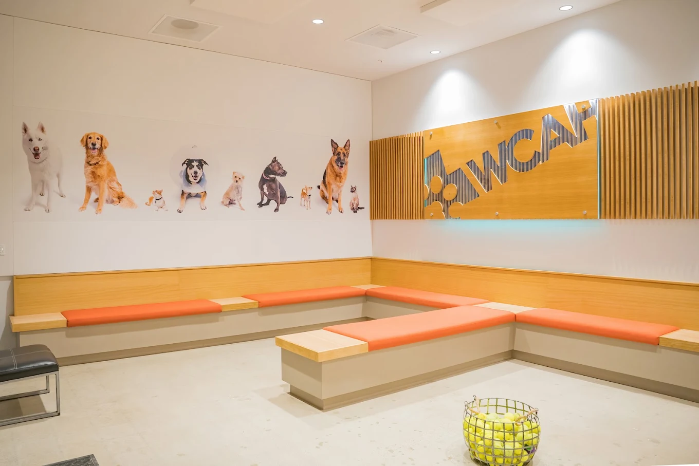 West Coast Animal Hospital