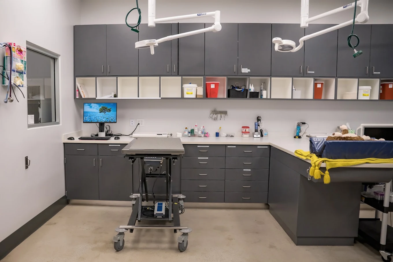 West Coast Animal Hospital