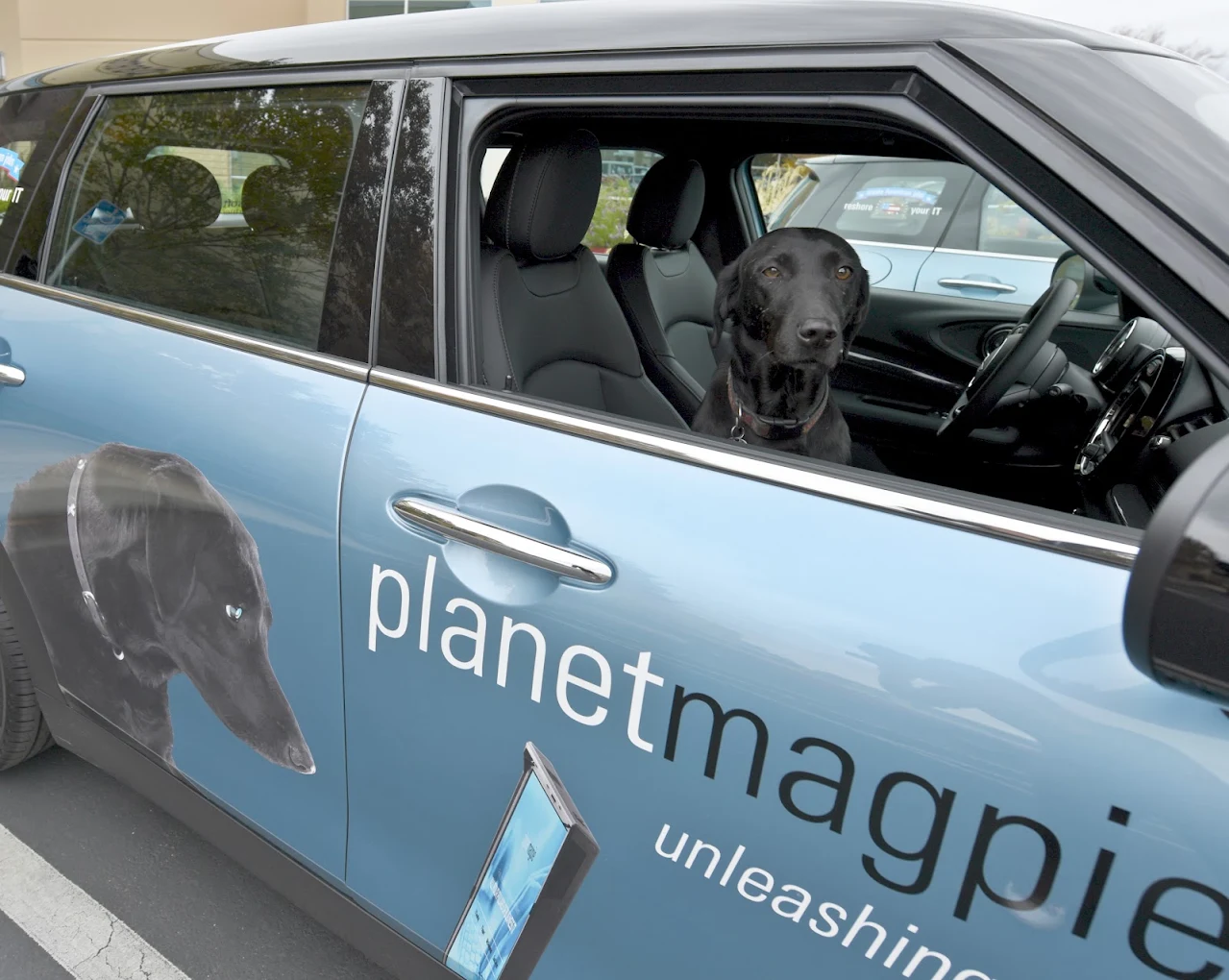 PlanetMagpie
