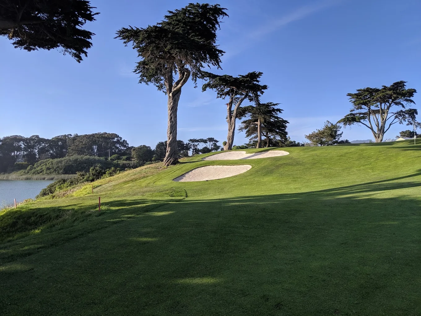 TPC Harding Park