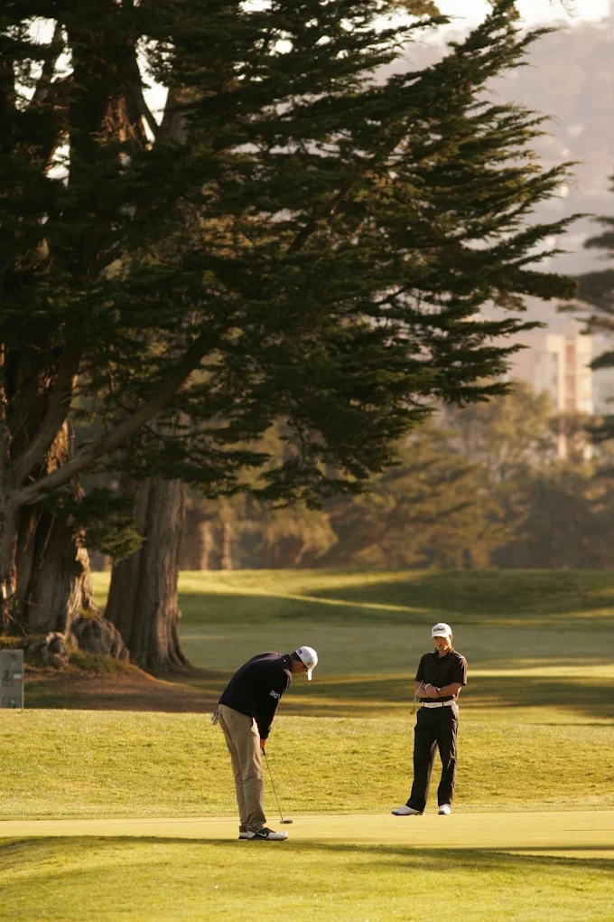 TPC Harding Park