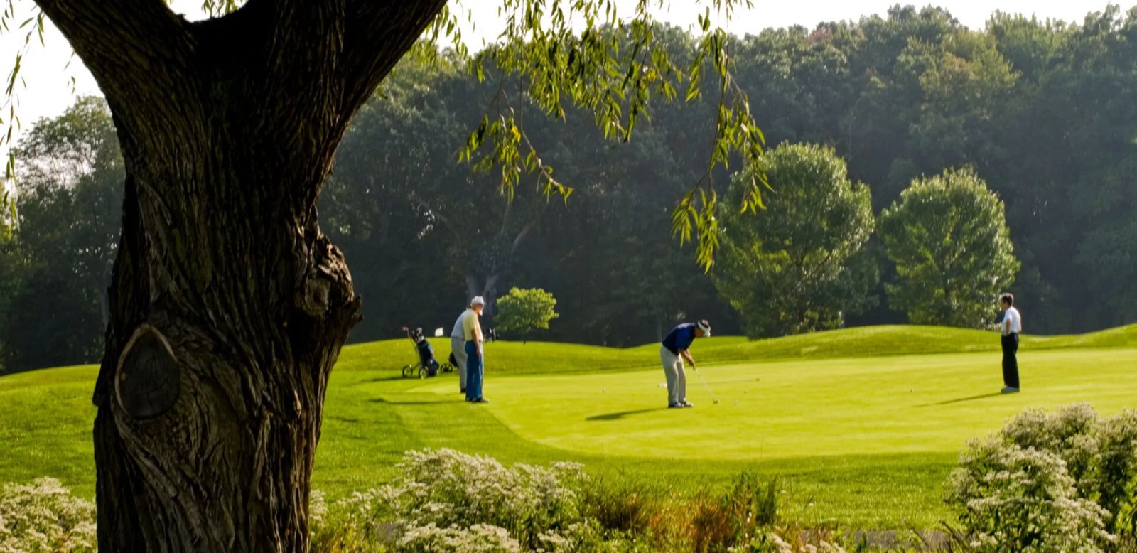 Lincoln Park Golf Coursec