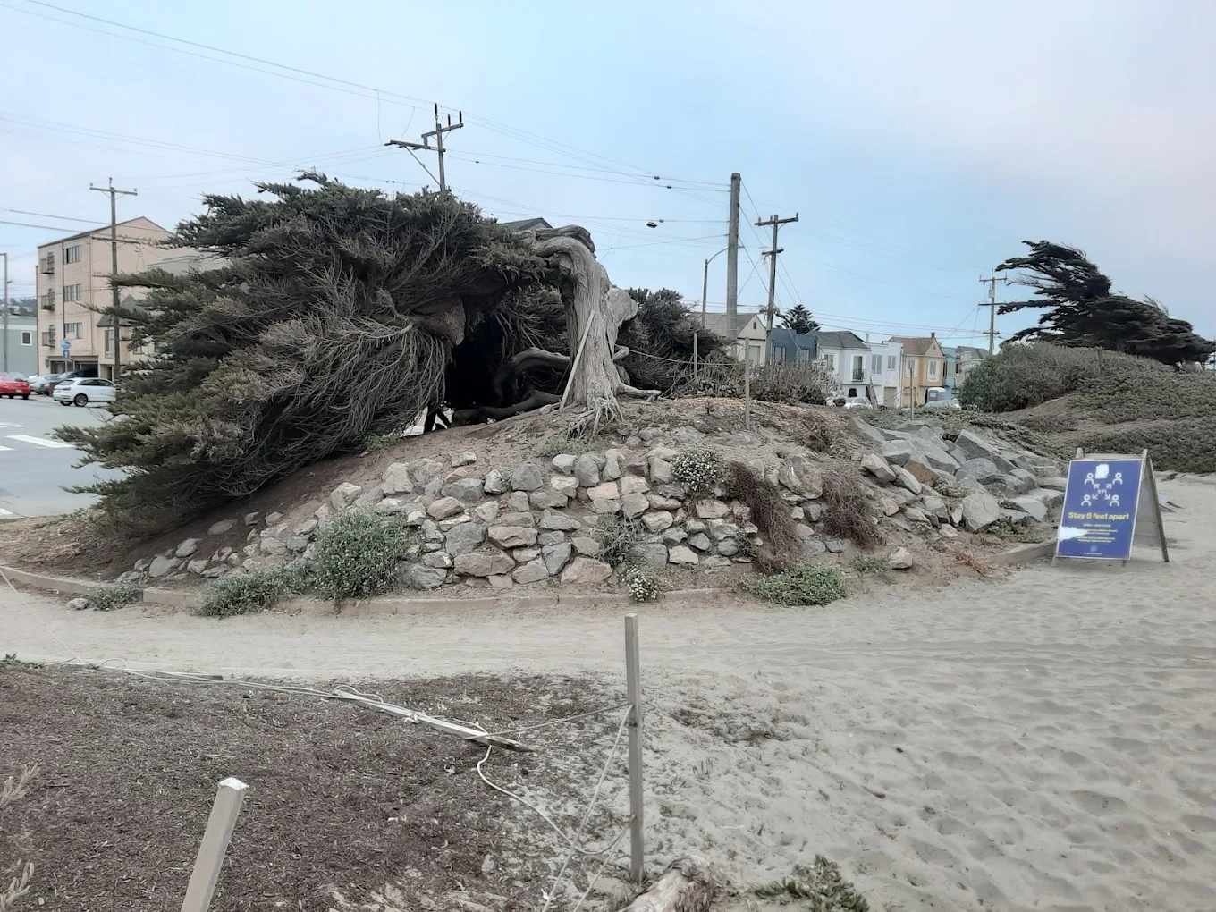 Lower Great Highway Trail