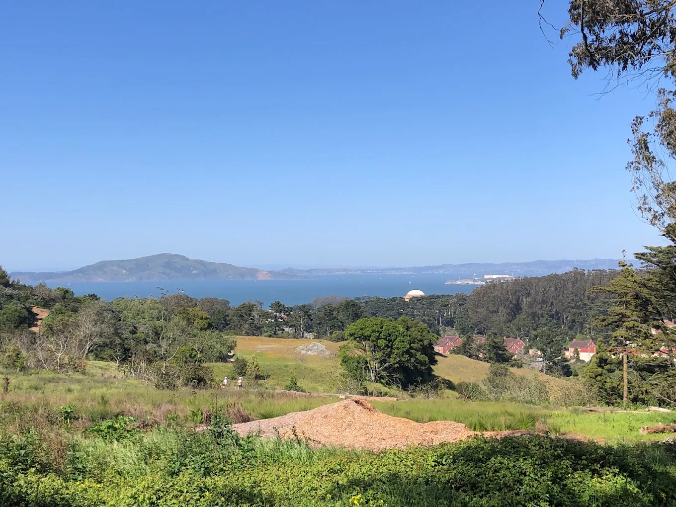 Lovers’ Lane at the Presidio